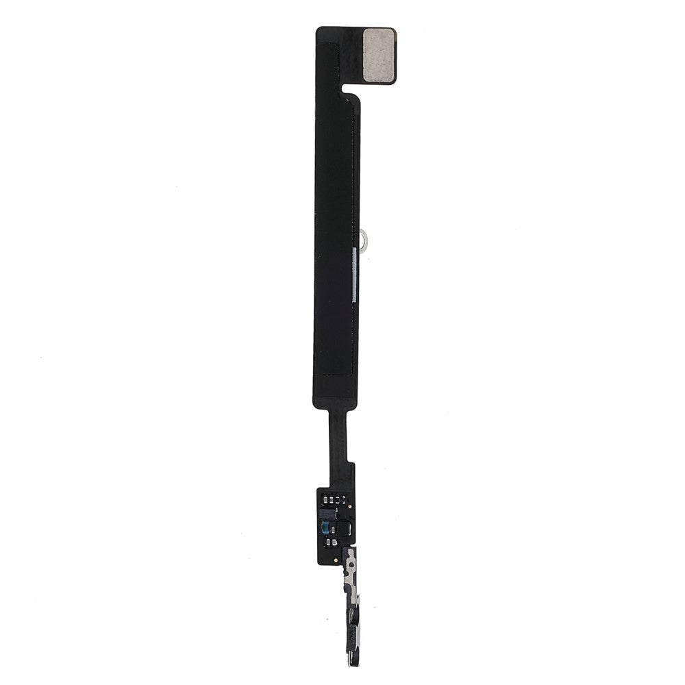 Flex Cable Antena Apple iPhone 12 Mini