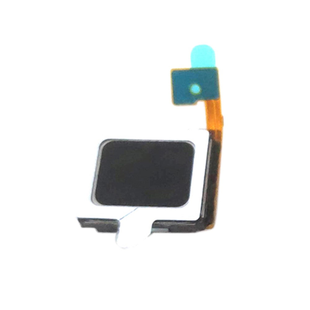 Écouteur Haut-Parleur Flex Xiaomi Redmi Note 11S 4G / Redmi Note 11 4G (Qualcomm) / Poco M4 Pro 4G