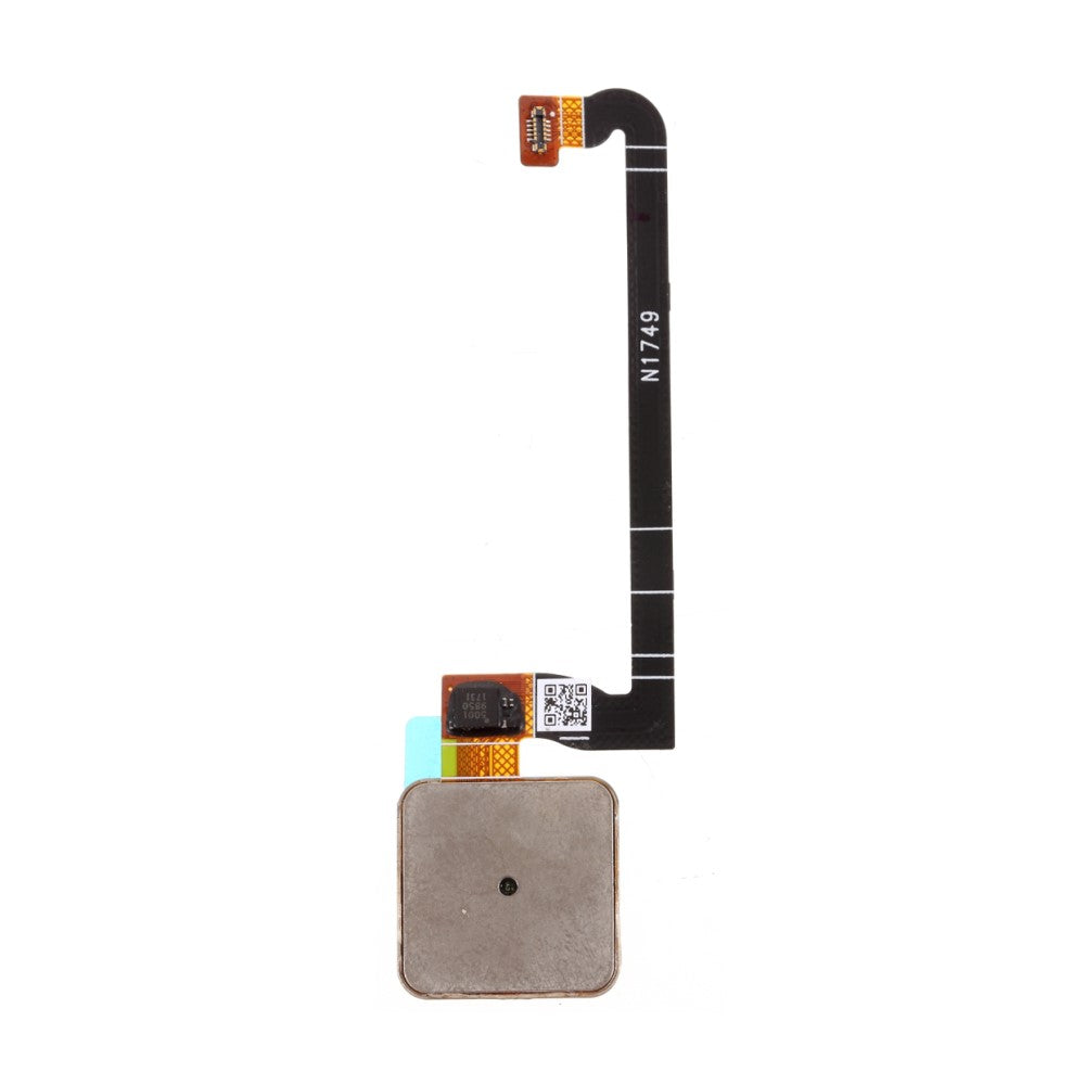 Bouton Home + Flex + Capteur d'empreintes digitales Google Pixel 3 Blanc