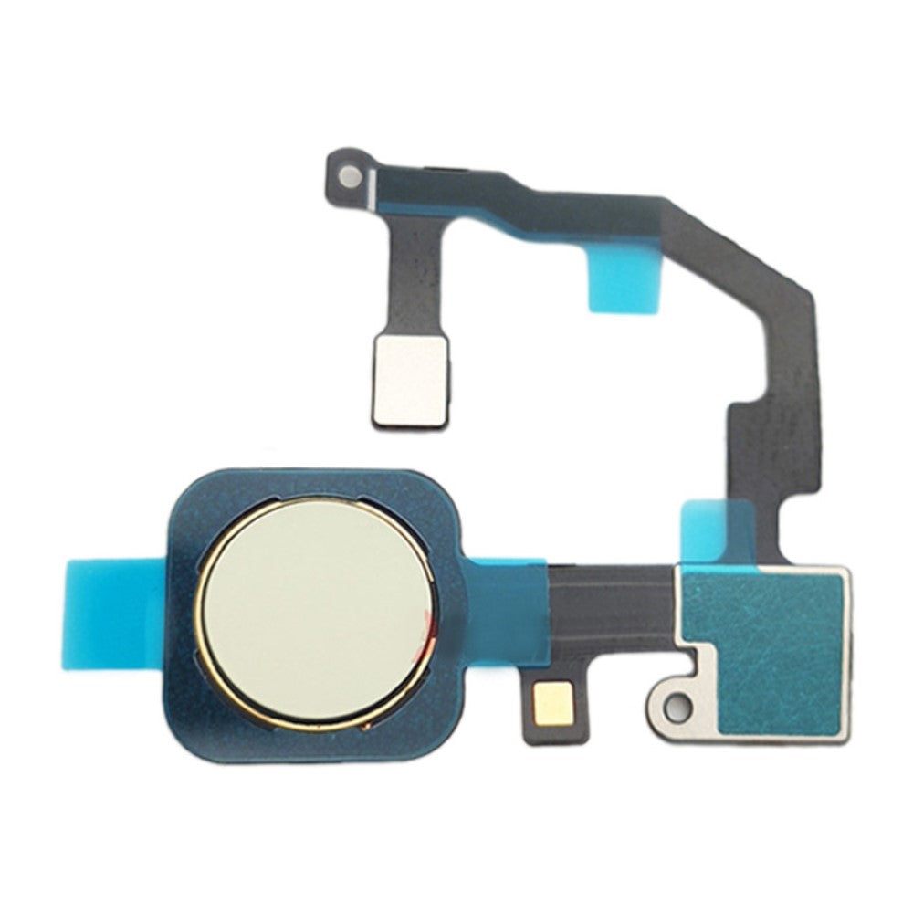 Bouton Home + Flex + Capteur d'empreintes digitales Google Pixel 5a 5G Vert