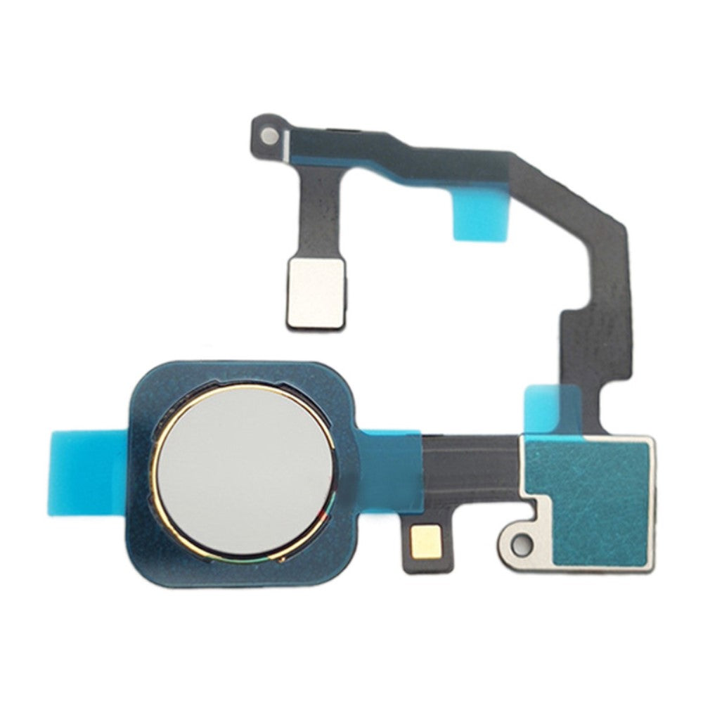Bouton Home + Flex + Capteur d'empreintes digitales Google Pixel 5a 5G Blanc