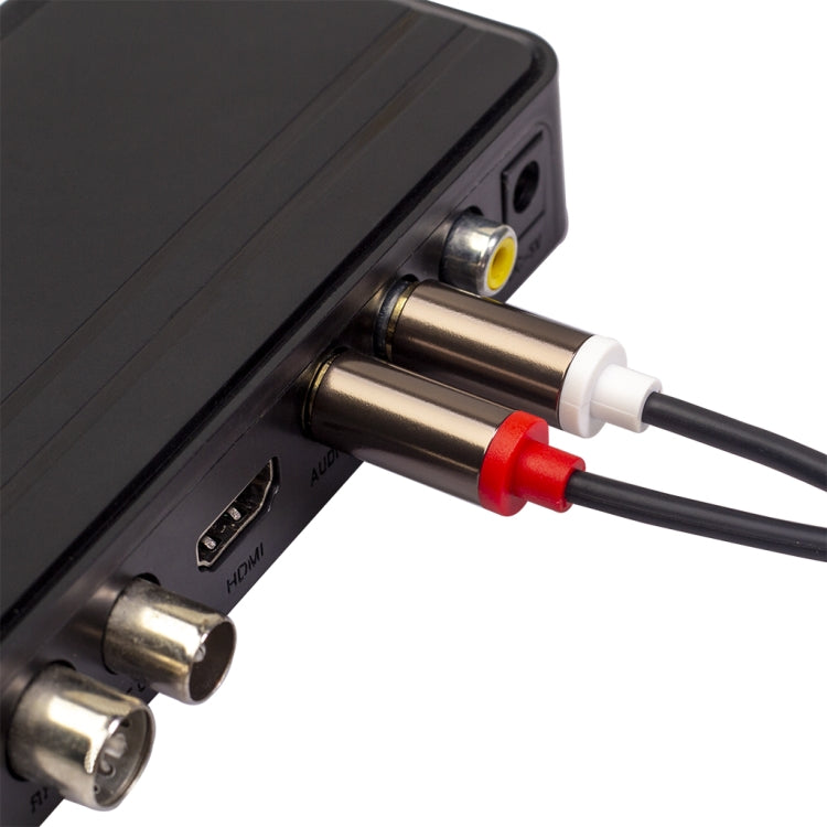 3660B 2 x RCA a 2 x RCA Cable de Audio chapado en Oro Longitud del Cable: 1 m (Negro)