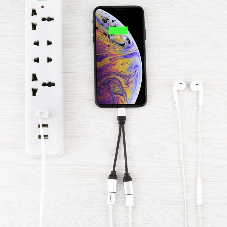 12cm 8 Pin Male to Dual 8 Pin Female Adapter Cable For iPhone XR / iPhone XS MAX / iPhone X and XS / iPhone 8 and 8 Plus / iPhone 7 and 7 Plus / iPhone 6 and 6s and 6 Plus and 6s Plus / iPad compatible with IOS 11.2 (Silver)