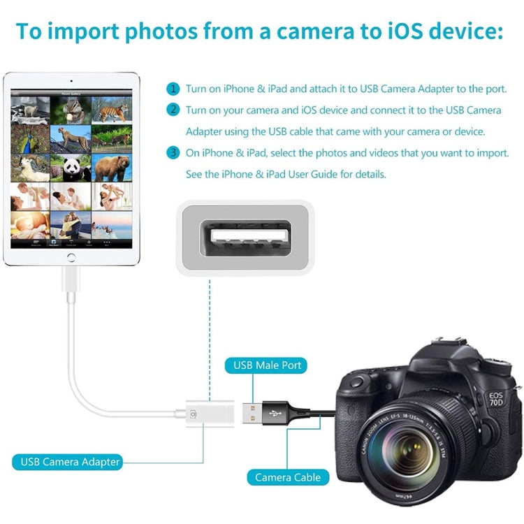 L'adaptateur de caméra 8 broches vers port USB unique prend en charge le système IOS 9.2-11 pour iPhone iPad (blanc)
