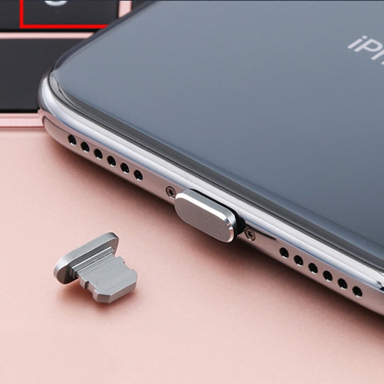 Universal Metal Dustproof Plug with 8 Pin Charging Port for iPhone (Grey)