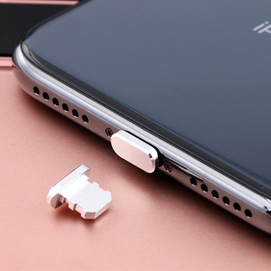 Universal Metal Dustproof Plug with 8 Pin Charging Port for iPhone (Space Silver)