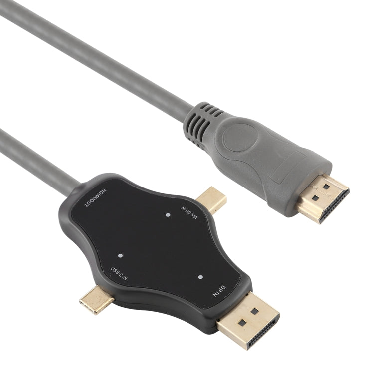 D65A 6' DisplayPort In and Mini DP In and USB-C / Type-C In to HDMI 4K Output Video Adapter Cable