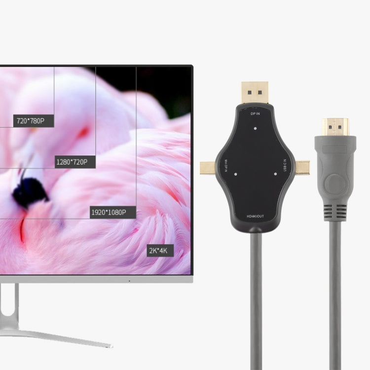 D65A 6' DisplayPort In and Mini DP In and USB-C / Type-C In to HDMI 4K Output Video Adapter Cable