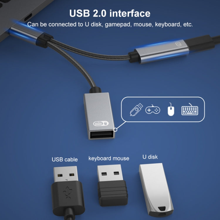 TA2Q USB-C / TYPE-C Mâle vers PD 60W USB-C / Type-C Charge + Adaptateur OTG USB 2.0 Femelle (Gris)