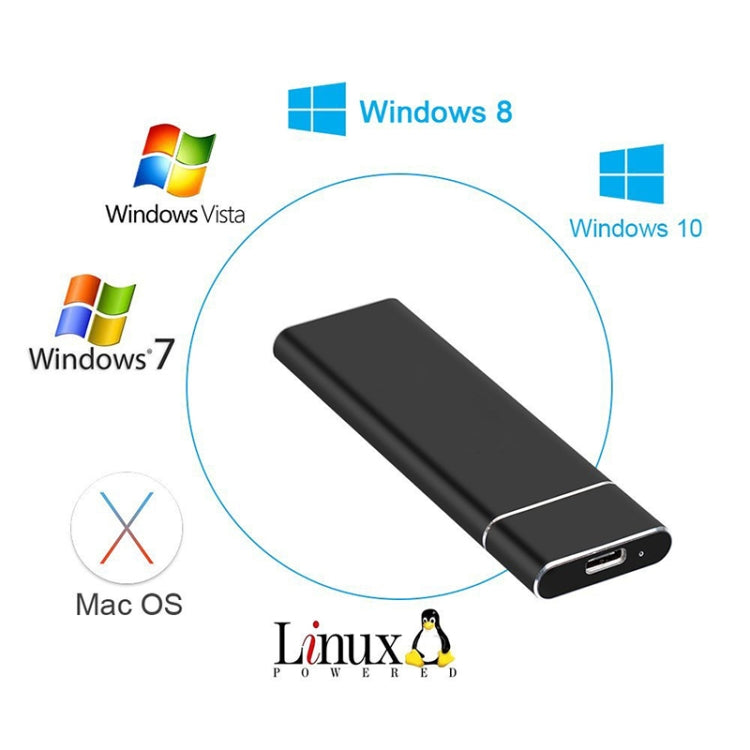M.2 NGFF to USB-C / Type-C USB 3.1 Interface Aluminum Alloy SSD Enclosure (Black)