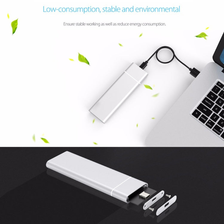 M.2 NGFF to USB-C / Type-C USB 3.1 Interface Aluminum Alloy SSD Enclosure (Silver)