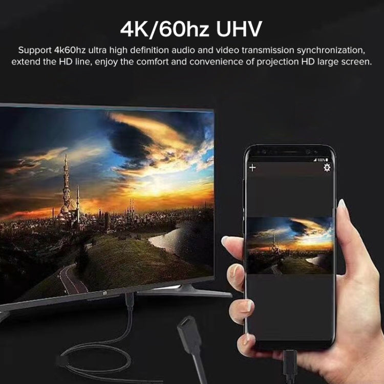 100W 20V 5A USB-C / Type-C Femelle vers USB-C / Type-C Mâle 4K Ultra-HD Audio Vidéo Synchronisation Câble de Données Rallonge Longueur du Câble: 30cm (Noir)