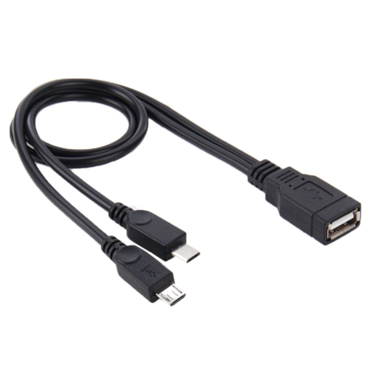 Cable USB 2.0 Hembra a 2 Micro USB Macho longitud: unos 30 cm