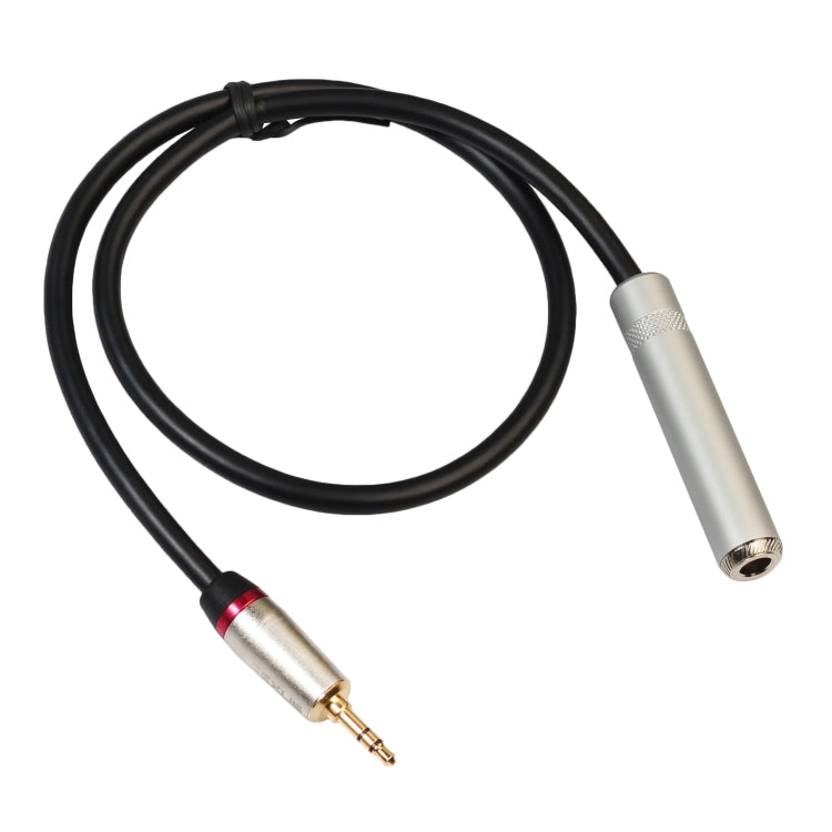 REXLIS TC128MF Câble adaptateur audio 3,5 mm mâle vers 6,5 mm femelle Longueur : 60 cm