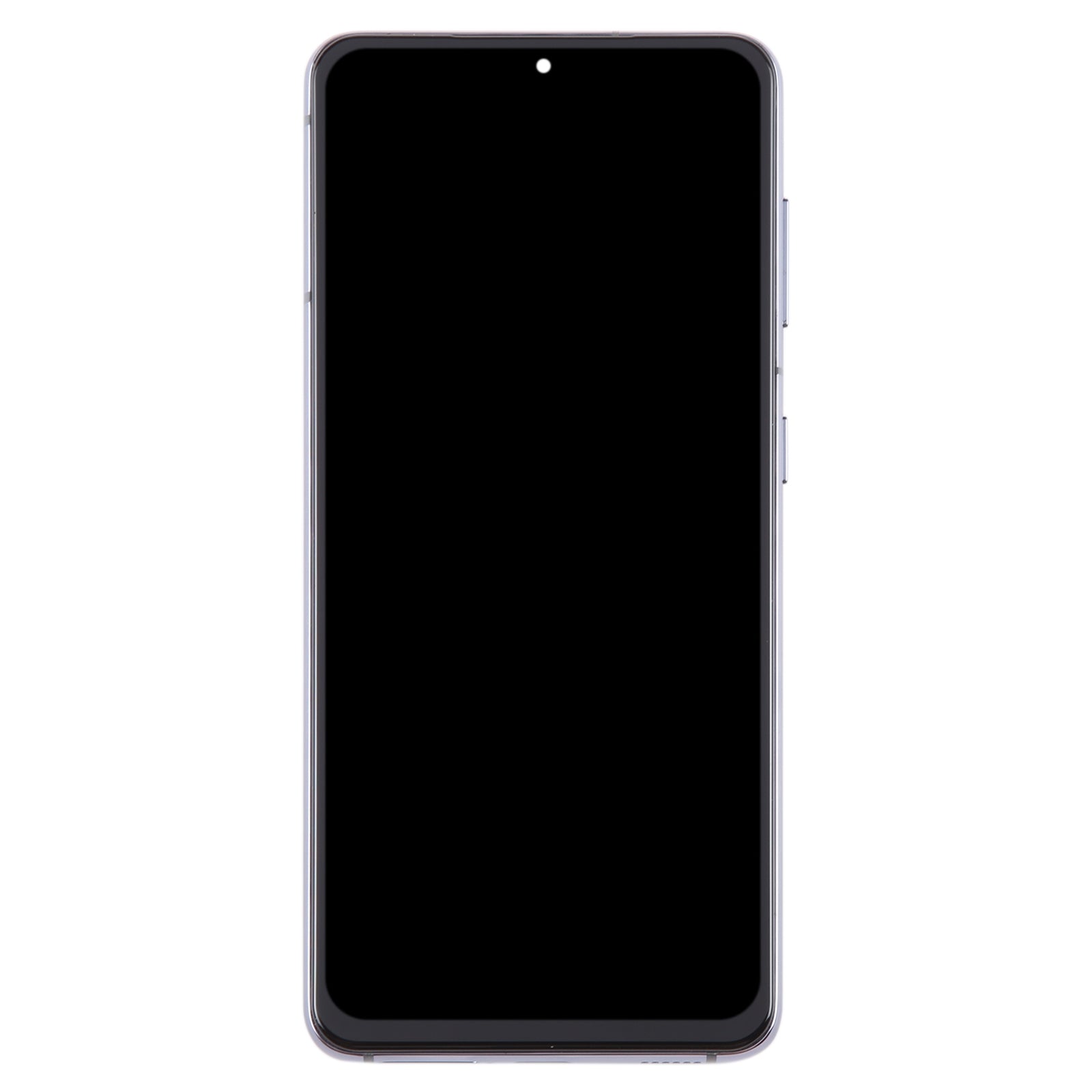 Full Screen + Touch + Frame Samsung Galaxy S21 5G G991 Gray
