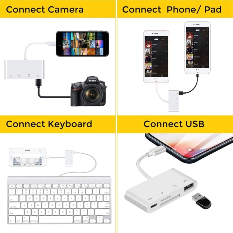 Lecteur de Carte SD,3 en 1 USB OTG Kits de Connexion Appareil