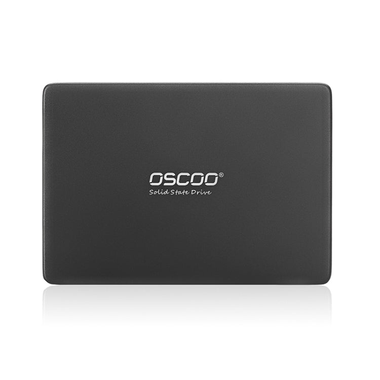 CAPACITÉ D'AUGMENTATION DU SITE INFORMATIQUE SSD OSCOO OSC-SSD-001 : 120 GO