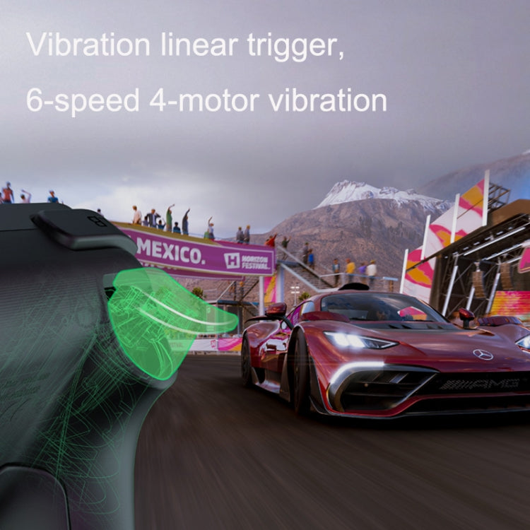 8bitdo Pro2 Wired GamePad prend en charge les vibrations pour Xbox Series X (noir)